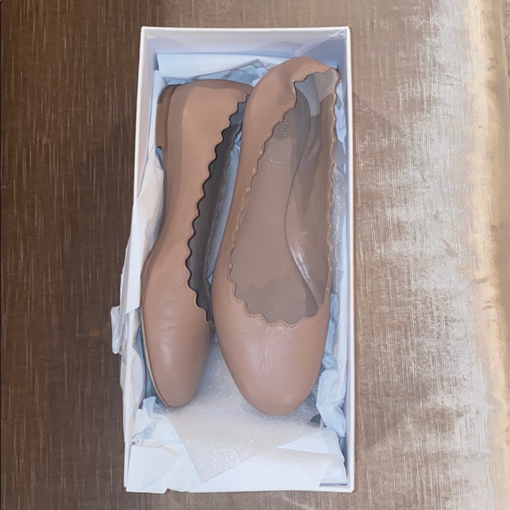 Chloe Lauren Ballerina Flats